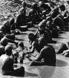 Celebration of Life (Atchafalaya River, LA in 1971); crowds boogie in the mud at this festival